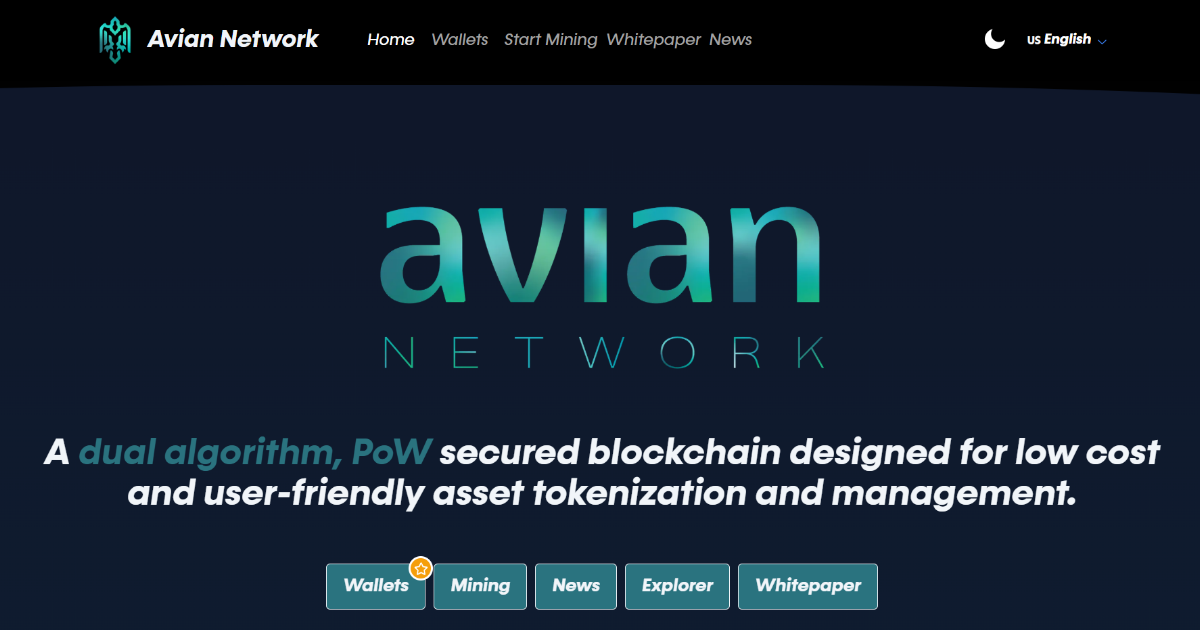 avn.network
